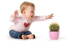 Baby-Sicherheit